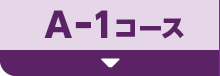 A-1コース