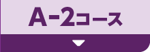 A-2コース